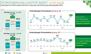 Informasi ekspor Juni 2023 Papua Barat. Tangkapan layar