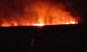 Kebakaran Hutan Fakfak Kebakaran Hutan Fakfak