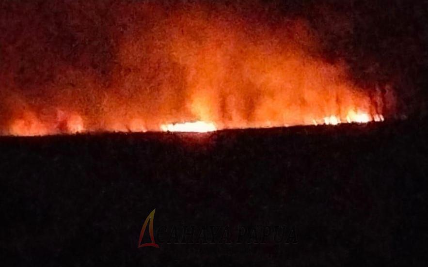 Kebakaran Hutan Fakfak Kebakaran Hutan Fakfak